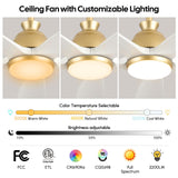 60 Inch White Ceiling Fan with Light, Gold Brass Finish,5 Solid Wood Blades