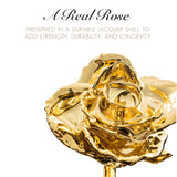 Forever Rose Personalized Combo, 24K Gold Dipped Roses & Heart Acrylic Vase