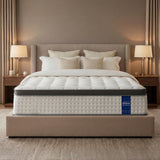 DINBooonLUX Queen Size Mattress,12 Inch Hybrid Queen Mattress in a Box with Memory Foam and Zoned Support Spring,Motion Isolation,Medium Firm,CertiPUR-US.