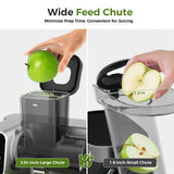 WETIE Cold Press Juicer, Powerful Juicer Machines with Adjustable Juicing Pressure, 99% High Juice Yield, Quiet Slow Masticating Juicer