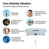 Furrnook Smart Auto Vibration Plate – 10-Level Silent Shaker Machine for Weight Loss, Toning & Massage | No-Remote Patented Start-Stop (Grey)
