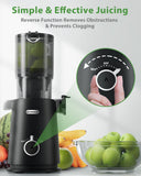 ECOSELF Juicer Machines Easy to Clean, With Wide Mouth & Large Feed Chute For Whole Fruits & Vegetables, Slow Masticating Juicer Hands-Free, Quiet Motor, Cold Press Juicer For Family, With Pusher