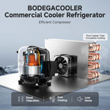 BODEGACOOLER Commercial Merchandiser Refrigerator, 36.8 Cu.Ft Upright Display Beverage Cooler, 2 Glass Door Display Refrigerator (Black)