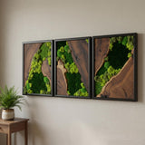 Moss Wall Decor Preserved Moss Art in Solid Cedar Wood Frame | Natural Wooden Wall Decor for Living Room, Office, Home | Zero Maintenance Gift for Nature Lovers 3 Pieces