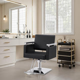 BarberPub Classic Hydraulic Barber Chair Styling Salon Chair for Hair Stylist Beauty Spa Equipment 8808 (Black)