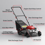 AMERISUN Gas Lawn Mower 21-Inch, 144cc Walk Behind Push Mower with 3-in-1 Mulching, Rear Bag & Side Discharge, 6-Position Adjustable Cutting Height, Heavy-Duty Steel Deck for Yard & Garden Care
