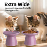 KITCHENLESTAR Ceramic Elevated Cat Bowls - 6.2 Inch Extra Wide Raised Cat Food and Water Bowl Set for Indoor Cats, Whisker-Friendly Ceramic Cat Dish for Elder Big Cats & Small Dogs,Dark Purple,2 Pack
