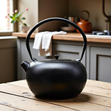 SECHUDO 67.6oz Large Cast Iron Teapot and Cups Set, Black Enameled Tea Kettle for Stovetop, Heavy and Durable Tea Pot with Stainless Steel for Loose Tea, Chinese Tea Set for Gift, 2000ML