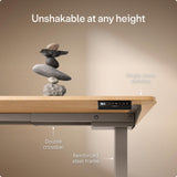 Desktronic HomeOne Standing Desk 60x30 — Ergonomic Sit Stand Home Office Desk, Made in Europe, Electric Dual Motor Height Adjustable, USB & USB-C Charging, Wobble-Free, Touchscreen, 3 Memory Presets
