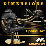 MIMWOW Salon Barber Chair, Reclining Salon Chair for Hair Stylist, Hair Salon Chair with Heavy Duty Hydraulic Pump, 360 Swivel Styling Braiding Hairdresser Chair for Home Barbershop, Black Gold