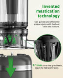 GlowWise Cold Press Juicer Machines for Whole Vegetables & Fruits, Slow Masticating Juicer Maker with Wide Feed Chute, High Juice Yield, Easy to Clean, Gray