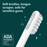 Toothbrush for Adults - Timed Electric Toothbrush with Cover - Replaceable Quip