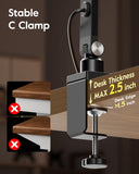 LitONES Remote LED Desk Lamp with Clamp, 2000LM, 30 Modes, Metal Arm