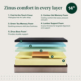 Zinus 14 Inch Queen Lumbar+ Premium Memory Foam Mattress, Medium Firm