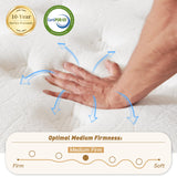 Queen Size Mattress 14 Inch, Hybrid Mattresses in a Box, Medium Firm Individual Pocket Springs Fiberglass Free Breathable and Stress-Relieving CertiPUR-US 80" x 60"
