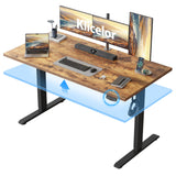 55 Inch Large Electric Standing Desk, Height Adjustable Office Desk