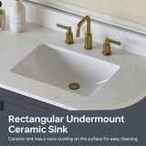 DELUXE LIVING 48 Inch Bathroom Vanity with Sink, Fully Assembled, Gray
