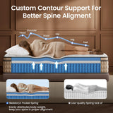 BedStory Firm Double Mattress 12 inch - Pain-Relieving Hybrid Mattress for Extra Lumbar & Hip Support - No Sagging Bed in a Box - 365-Night Trial - No Odor, Fiberglass-Free, CertiPUR-US Certified