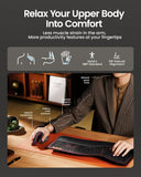 ProtoArc EM11 NL Wireless Ergonomic Vertical Mouse, Rechargeable, Wine Red