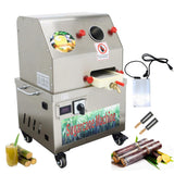 EQCOTWEA Commercial Sugarcane Juicer Machine 3-Roller Stainless Steel Sugar Cane Press Extractor 110V AC & 24V DC Dual Power Vertical Juice Press with Transformer for Sugarcane Juice Shop Home Use
