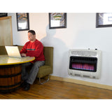 Mr. Heater 30,000 BTU Vent Free Blue Flame Natural Gas Heater