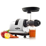 Omega Cold Press Juicer Machine, Vegetable and Fruit Juice Extractor and Nutrition System Makes Nut Milks Baby Food and Sorbets, Triple-Stage 80-RPM Slow Masticating Juicer, 200-Watts, Silver