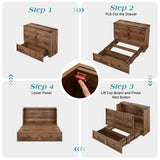 LUXOAK Full Murphy Cabinet Bed with with Storage & Charging Station