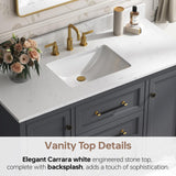 DELUXE LIVING 48 Inch Bathroom Vanity with Sink, Fully Assembled, Deep Grey