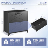 LISSIMO Farmhouse File Cabinet with Lock, Lateral File Cabinet with 2 Large Drawer for Letter/Legal/A4 Hanging Files,File Storage Cabinets Printer Stand for Home Office School, Black