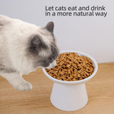 KITCHENLESTAR Ceramic Elevated Cat Bowls - 6.2 Inch Extra Wide Raised Cat Food and Water Bowl Set for Indoor Cats, Whisker-Friendly Ceramic Cat Dish for Elder Big Cats & Small Dogs,White,2 Pack