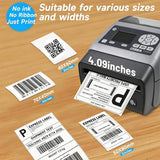 YuechengParts ZD620d Direct Thermal Desktop Printer ZD620 with Cutter + LCD Screen 203 dpi Print Width 4 in Bluetooth Interface-Ethernet, Serial, USB - ZD62142-D2EF00EZ