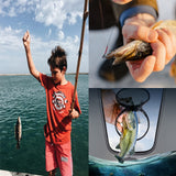 WHCDSTGJ Transparent Lid Fishing Bucket, Portable Foldable Fishing Bucket, Bait Bucket, Fish Bucket, Live Bait Storage. (4 gallons)