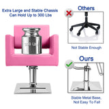 Hairdresser Barber Salon Chair,Capacity 330 Lbs - with Heavy Duty Hydraulic Pump, 360° Swivel Adjustable Spa Beauty Equipment, Hair Stylist Women Man for Barbershop,Home Hairdresser Hydraulic (Pink)