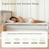 Queen Size Mattress 12 Inch, Medium Firm Memory Foam Hybrid Mattress with Individual Pocket Spring - Pressure Relief, Motion Isolation, Cool Sleep, 60" x 80"