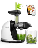 Juicer Machines - AMZCHEF Cold Press Masticating Juicer whole Fruit and Vegetable - Delicate Chew No Need to Filter - BPA Free Juice Extractor with 2 Cups and Brush- Pear White
