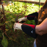 Women's Rose Gardening Gloves (Pair) Tan
