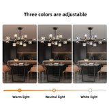 OKES Black Crsytal Chandelier,Sputnik Chandeliers with 12-Lights,Modern Adjustable Height Semi Flush Mount Ceiling Light Fixture for Dining Room,Kitchen Island,Living Room,Bedroom