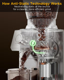 IAGREEA Conical Burr Coffee Grinder, 48 Grind Settings, 450RPM Low-Speed Anti-Static, Precision Timer, Portafilter Holder for Espresso, Drip, French Press, Cold Brew, Stainless Steel