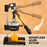 ARINOO Kitchen Cast Iron Citrus Juicer,Manual Hand Press Orange Juicer,Heavy Duty Countertop Squeezer for Lemon,Orange, Easy to Use & Clean（Black)