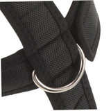 Kisangel Neck Harness Adjustable Neck Training Neck Strap Heavy Duty Exerciser Weighted Strap Training Fitness Equipment Kisangel