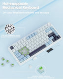 Wireless Mechanical Keyboard, Gasket Hot Swappable Custom Keyboard (White & Blue) AULA