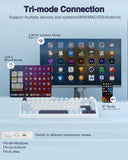 Wireless Mechanical Keyboard, Gasket Hot Swappable Custom Keyboard (White & Blue) AULA