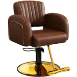 Baasha Professional Brown & Gold Salon Chair, Luxury Hydraulic Styling Chair with Soft PU Leather, High-Density Foam Cushion, 360° Swivel, Stainless Steel Frame, Ergonomic Design, 330 lbs Capacity