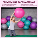 Leyndo 4 Pcs 26 Inch Yoga Exercise Ball Pilates Pregnancy Birthing Fitness Ball with Quick Pump Anti Burst for Improved Posture, Balance, Yoga, Pilates, Training(Pink Green Gray Set)