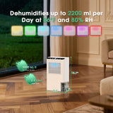 Dehumidifiers for Home, 2000 Sq.Ft Small Dehumidifier with 3.3ft Drain Hose, 2.5L Tank, Timer Sleep Mode, Portable Dehumidifier for Basement, Bedroom, Bathroom (Frost White)
