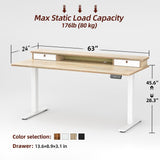 TIQLAB Standing Desk with Two Drawers, Stand Up Standing Desk Adjustable Height