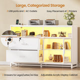 File Cabinet, 2 Drawers Filing Cabinets for Home Office fit Legal/Letter/A4 File