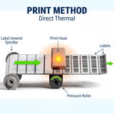 McAuley Labels GoDEX DT4x+ 4" Direct Thermal Shipping Label Printer - Retail & Warehouse Printer - 203 DPI, USB/Serial/Ethernet