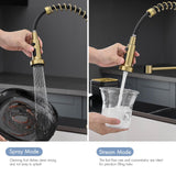 AIMADI Gold Kitchen Faucet with Pull Down Sprayer,Commercial Single Handle Brushed Gold Kitchen Sink Faucet with Deck Plate