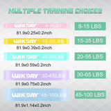 WIKDAY Resistance Bands for Working Out, Pull Up Assistance Bands, Exercise Bands, Long Loop Thick Heavy Workout Bands Set with Door Anchor for Body Stretching, Training for Women